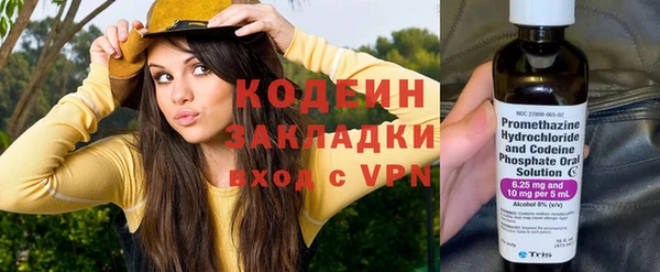индика Слюдянка
