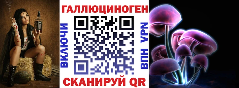 дарнет шоп  Кызыл  Псилоцибиновые грибы ЛСД 